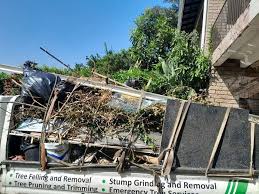 Best Yard Waste Removal in Fris, CO